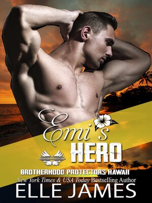 cover image of Emi's Hero